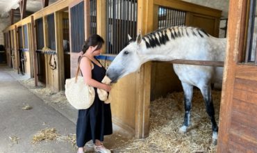 Visite au Haras de Pompadour